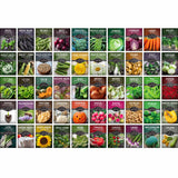 A grid of many seed packet illustrations labeled with vegetables and grains, including basil, beans, broccoli, carrots, lettuce, peas, tomatoes, sunflower, and pumpkin. This is not a clean single-product shot and not a lifestyle scene; it functions as a color/material/variety reference image, so Color Swatch is the best fit.