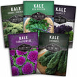 Five packets of Survival Garden Seeds Kale varieties on a white background