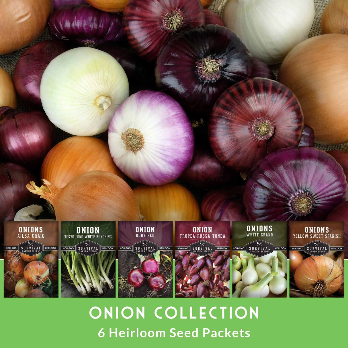 Assorted onions with seed packets displayed below on a green background