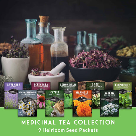 Medicinal tea collection with seed packets and herbal ingredients on a dark background