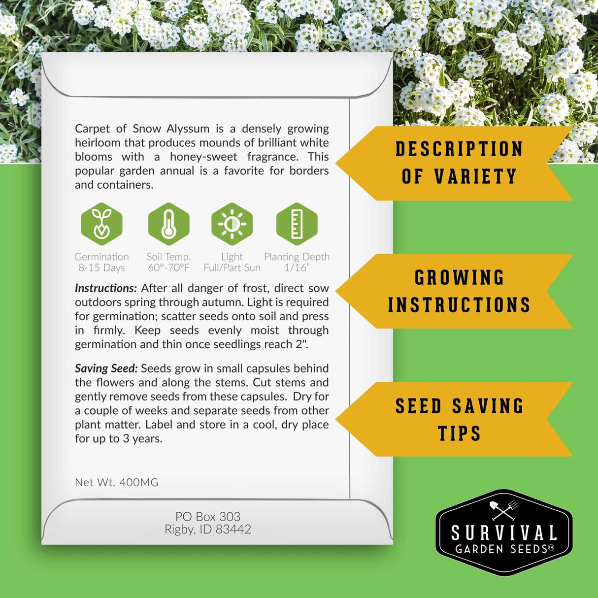 Seed packet for Carpet of Snow Alyssum with growing instructions and seed saving tips on a green background.