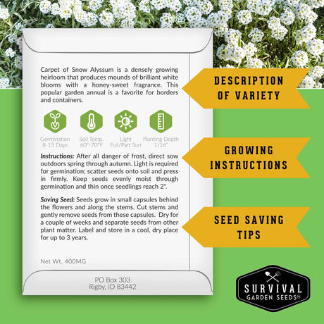 Seed packet for Carpet of Snow Alyssum with growing instructions and seed saving tips on a green background.