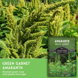 Amaranth plant with a package labeled 'Green Garnet Amaranth' and 'Survival Garden Seeds'.