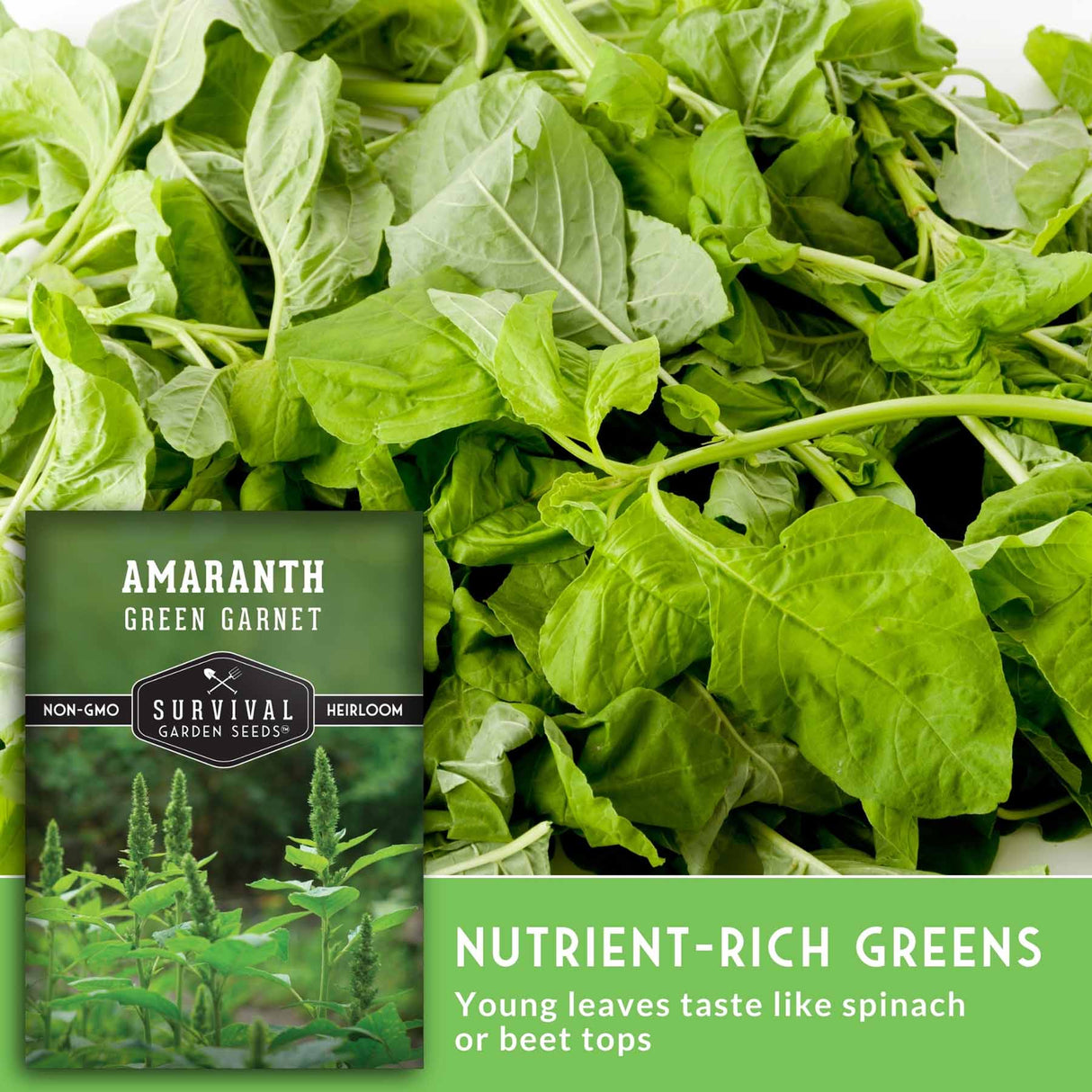 Amaranth Green Garnet seed packet with nutrient-rich greens in the background