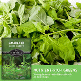 Amaranth Green Garnet seed packet with nutrient-rich greens in the background