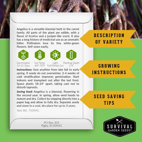 A printed card with growing instructions and seed-saving tips for Angelica, shown over a green-and-white graphic layout with three yellow callout arrows reading 'Description of Variety,' 'Growing Instructions,' and 'Seed Saving Tips.' The card is branded Survival Garden Seeds, and the background shows a close-up of an Angelica plant stem with small white-green flowers.