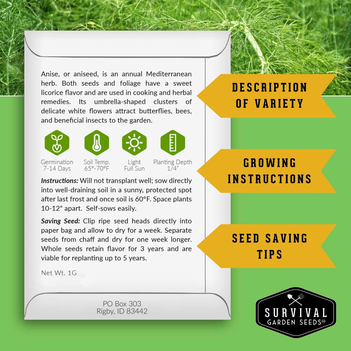 An informational product card for Aniseed seeds by Survival Garden Seeds, featuring growing instructions, seed saving tips, and a description of the variety, set against a green background with decorative yellow callout banners.
