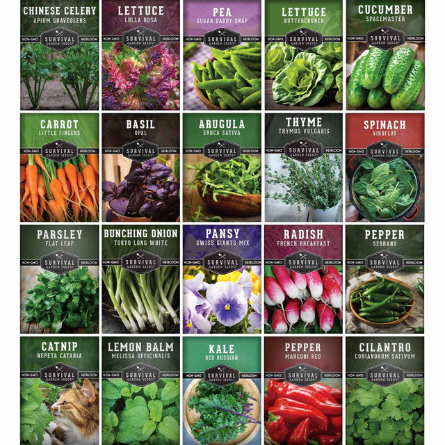 A 4x5 grid of 20 seed packet illustrations for Survival Gardens, featuring various vegetables and herbs like Chinese Celery, Lettuce, Pea, Carrot, Basil, Arugula, Thyme, Spinach, Parsley, Bunching Onion, Pansy, Radish, Pepper, Catnip, Lemon Balm, Kale, and Cilantro. Each packet shows a colorful photo of the plant in growth and harvest, with the plant name, variety, and 'Survival Gardens' brand logo.
