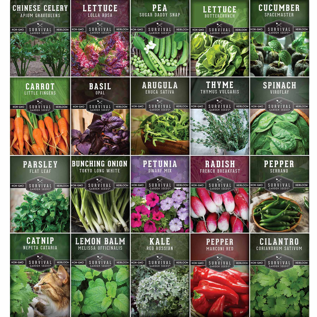 Apartment seed collection - 20 heirloom seed packets