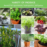 collage of vegetables and herbs in pots