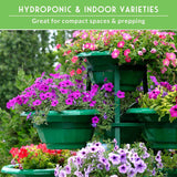 pots of dwarf petunias with text that says hydroponic and indoor varieties