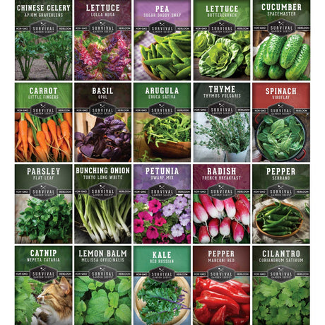 A 5x5 grid of square seed packet illustrations for Survival Seeds, showing different vegetables and herbs including Chinese Celery, Lettuce, Pea, Carrot, Basil, Arugula, Thyme, Spinach, Parsley, Bunching Onion, Petunia, Radish, Pepper, Catnip, Lemon Balm, Kale, and Cilantro.