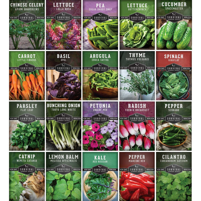 A 5x5 grid of square seed packet illustrations for Survival Seeds, showing different vegetables and herbs including Chinese Celery, Lettuce, Pea, Carrot, Basil, Arugula, Thyme, Spinach, Parsley, Bunching Onion, Petunia, Radish, Pepper, Catnip, Lemon Balm, Kale, and Cilantro.