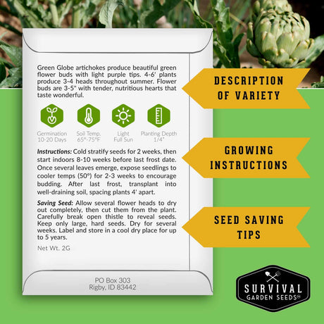 A white seed-saving information card from Survival Garden Seeds with text and icons about green globe artichoke varieties, set against a green background with an artichoke and yellow callout arrows reading description of variety, growing instructions, and seed saving tips.