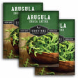 Three packages of Survival Garden Seeds Arugula on a white background