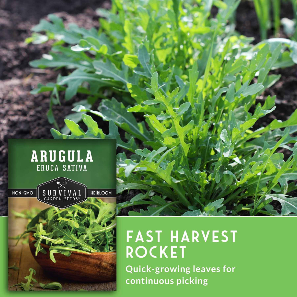 Arugula plants with a seed packet labeled 'Survival Garden Seeds' on a green background.