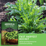 Arugula plants with a seed packet labeled 'Survival Garden Seeds' on a green background.