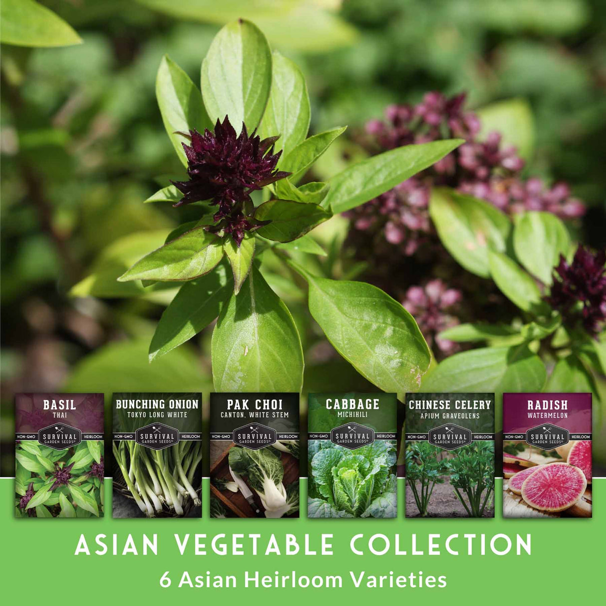 Collection of Asian vegetable seed packets with plants in the background