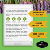 Argenteuil Asparagus seed packet with growing instructions and seed saving information.