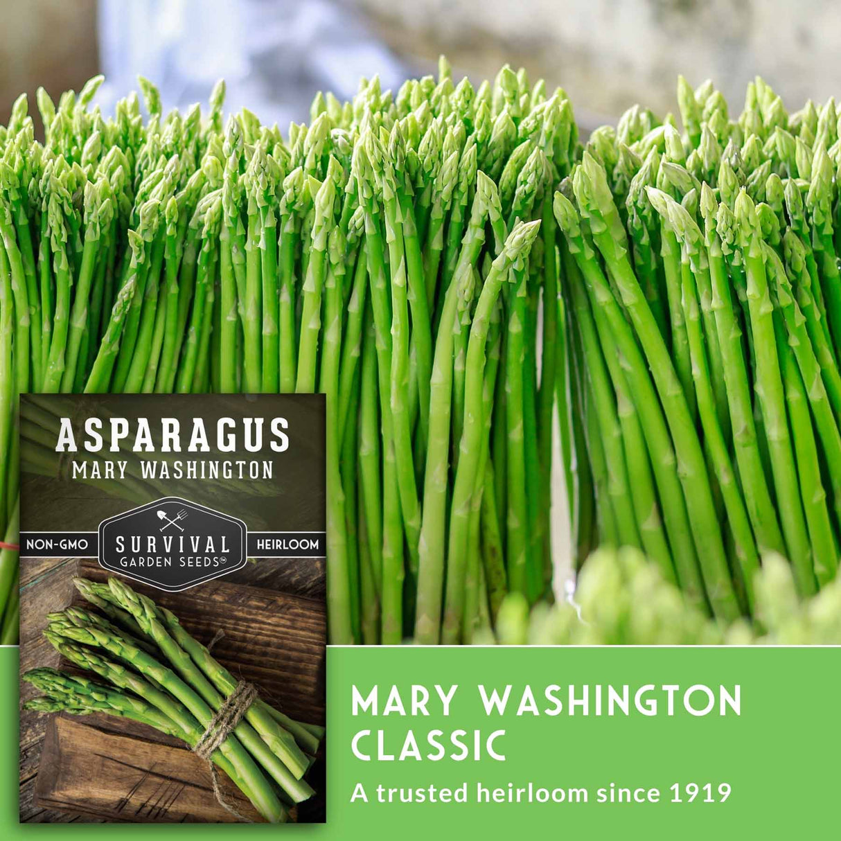 A close-up of fresh green asparagus spears with a seed packet overlay reading 'ASPARAGUS MARY WASHINGTON' and a green banner that says 'MARY WASHINGTON CLASSIC' from Survival Garden Seeds.