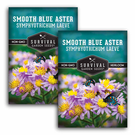 2 Packets of Smooth Blue Aster Seeds