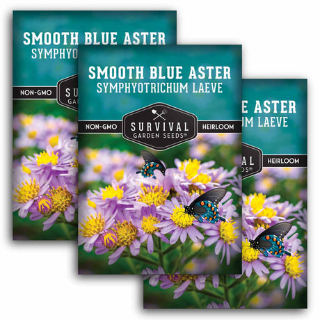 3 Packets of Smooth Blue Aster Seeds