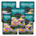5 Packets of Smooth Blue Aster Seeds