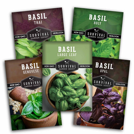 Five packages of Survival Garden Seeds basil varieties on a white background