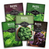 Five seed packets for basil varieties from Survival Garden Seeds are arranged in a fan-like composition on a white background. The packets feature different basil types: Basil Thai, Basil Holy, Basil Genovese, Basil Large Leaf, and Basil Opal, with vibrant green and purple leaf imagery on the packaging.