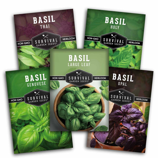 Five seed packets for basil varieties from Survival Garden Seeds are arranged in a fan-like composition on a white background. The packets feature different basil types: Basil Thai, Basil Holy, Basil Genovese, Basil Large Leaf, and Basil Opal, with vibrant green and purple leaf imagery on the packaging.