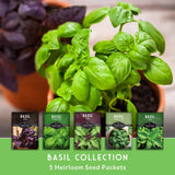 A potted fresh basil plant in the foreground with five basil seed packet packages shown along the bottom, plus the text 'BASIL COLLECTION 5 Heirloom Seed Packets' on a green banner.