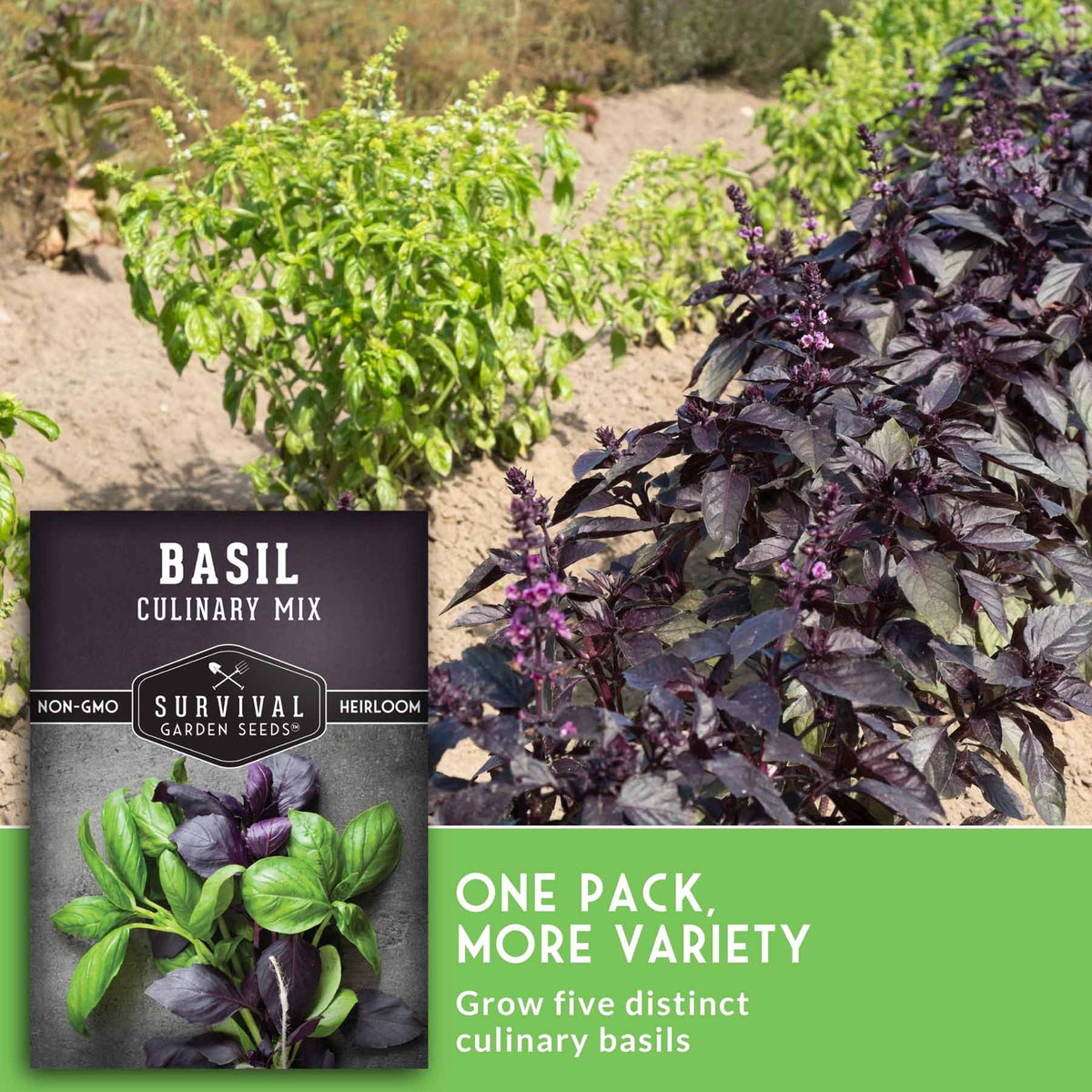 Seed packet for Survival Garden Seeds Basil Culinary Mix shown over a garden scene with green and purple basil plants, plus text reading 'One Pack. More Variety.