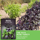Seed packet for Survival Garden Seeds Basil Culinary Mix shown over a garden scene with green and purple basil plants, plus text reading 'One Pack. More Variety.