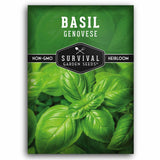 A package of Survival Garden Seeds Basil Genovese seeds, featuring a vibrant green background filled with fresh basil leaves and a black central label.