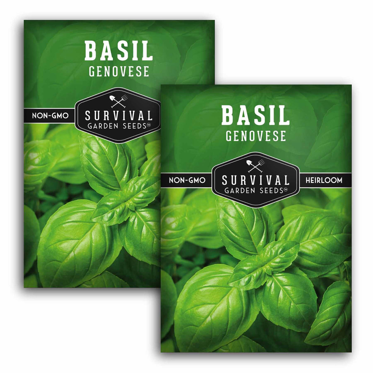 Two green seed packets for Survival Garden Seeds Basil Genovese, one labeled Non-GMO and one labeled Heirloom, overlapping on a white background.