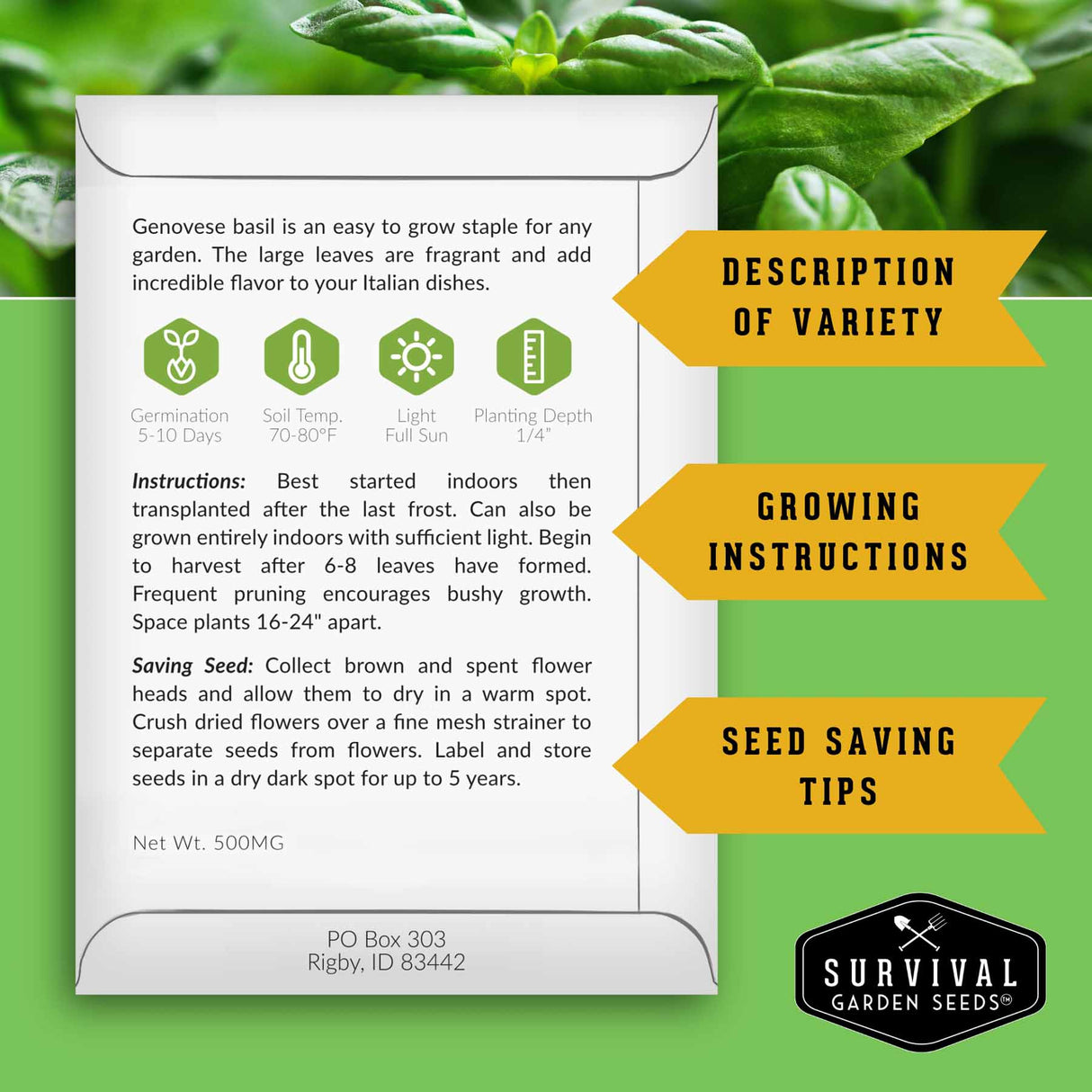 Survival Garden Seeds Genovese basil seed packet with growing instructions and seed saving tips on a green background.