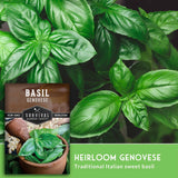 Basil plant with Survival Garden Seeds packaging on a green background