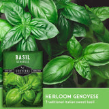 Basil seed packet for Survival Garden Seeds Heirloom Genovese shown over a close-up photo of fresh green basil leaves, with a green banner reading 'HEIRLOOM GENOVESE Traditional Italian sweet basil'.