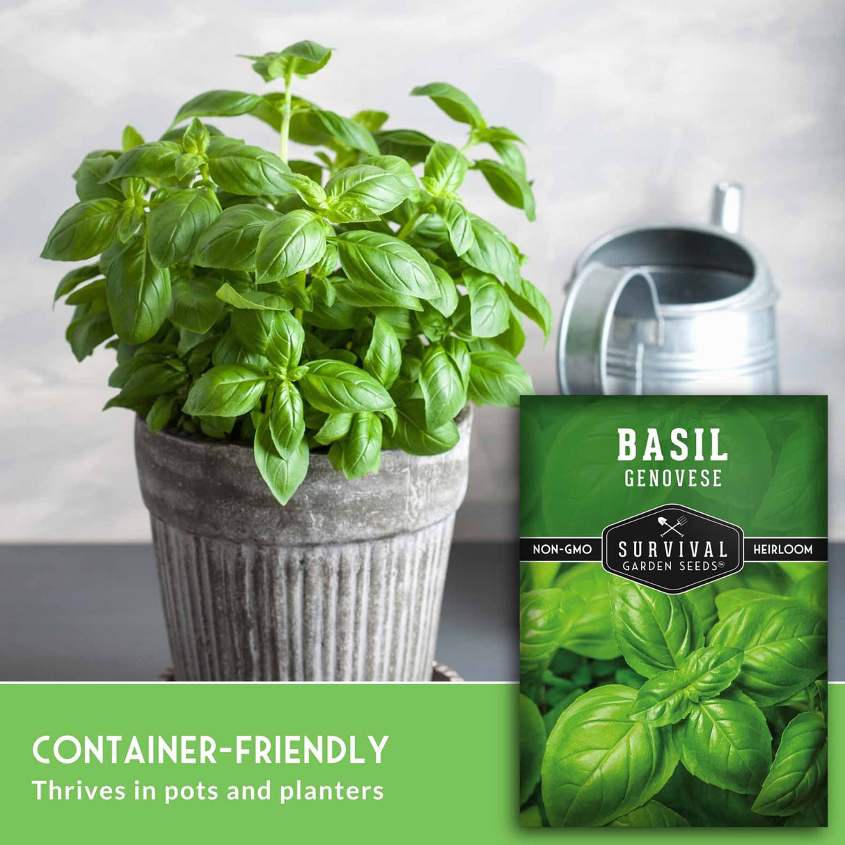 A potted fresh basil plant in a gray ribbed pot next to a green seed packet labeled 'BASIL GENOVESE' and 'Survival Garden Seeds,' with the text 'CONTAINER-FRIENDLY Thrives in pots and planters' at the bottom.