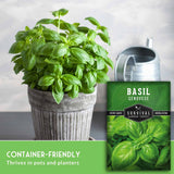 A potted fresh basil plant in a gray ribbed pot next to a green seed packet labeled 'BASIL GENOVESE' and 'Survival Garden Seeds,' with the text 'CONTAINER-FRIENDLY Thrives in pots and planters' at the bottom.