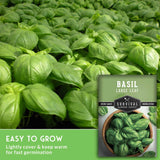 Basil plants with a seed packet labeled 'Survival Garden Seeds' on a green background.