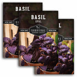 Opal Basil Seeds – Deep Purple Sweet Basil for Culinary Use & Ornamental Gardens