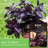 Basil plant with a label indicating it is a non-GMO survival garden variety, held against a blurred green background.