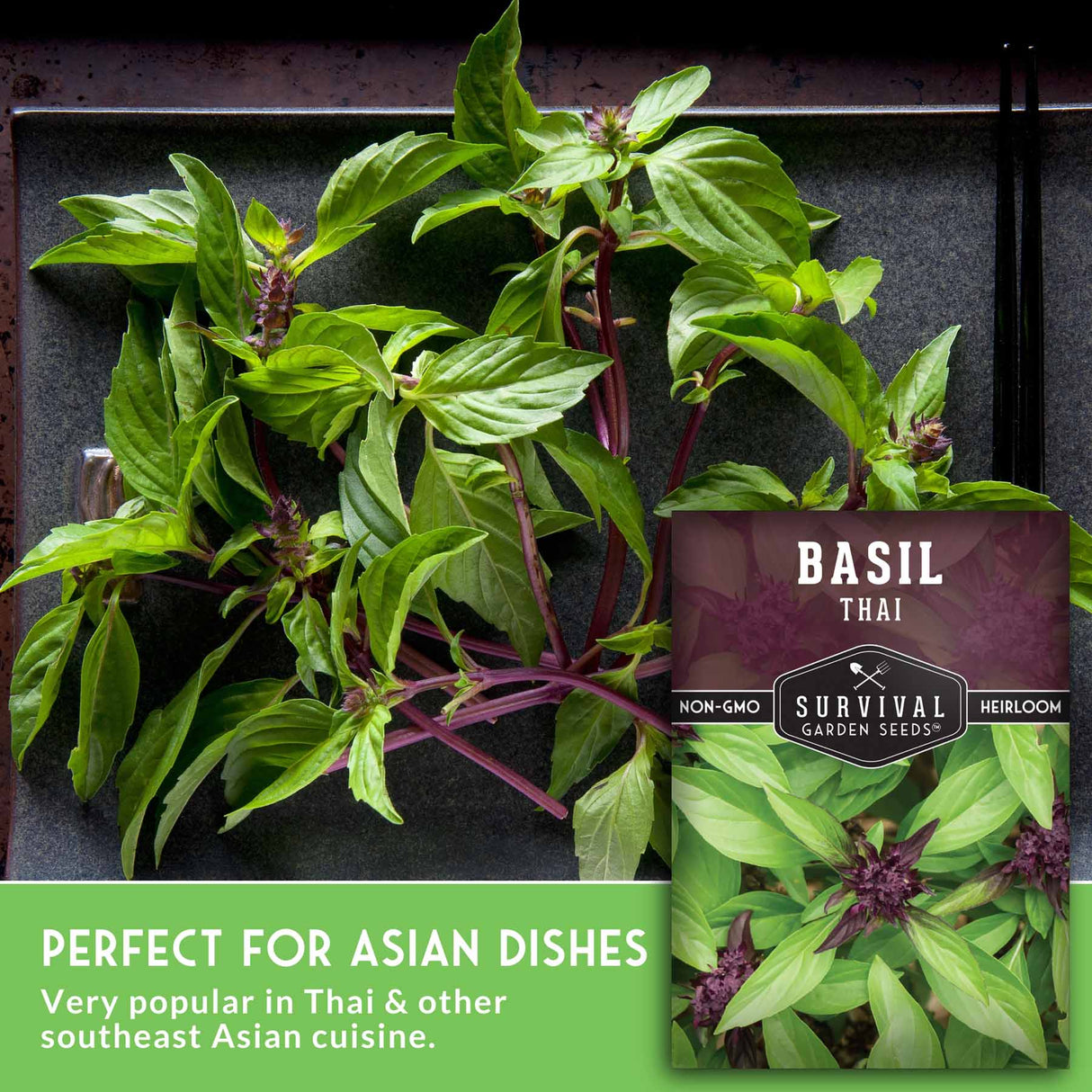 Basil plant with a seed packet labeled 'Basil Thai' on a dark background. Perfect for Asian Dishes