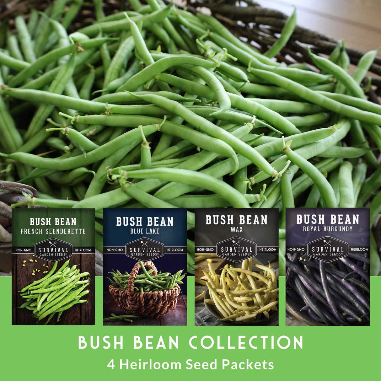 Collection of bush bean seed packets with green beans in the background