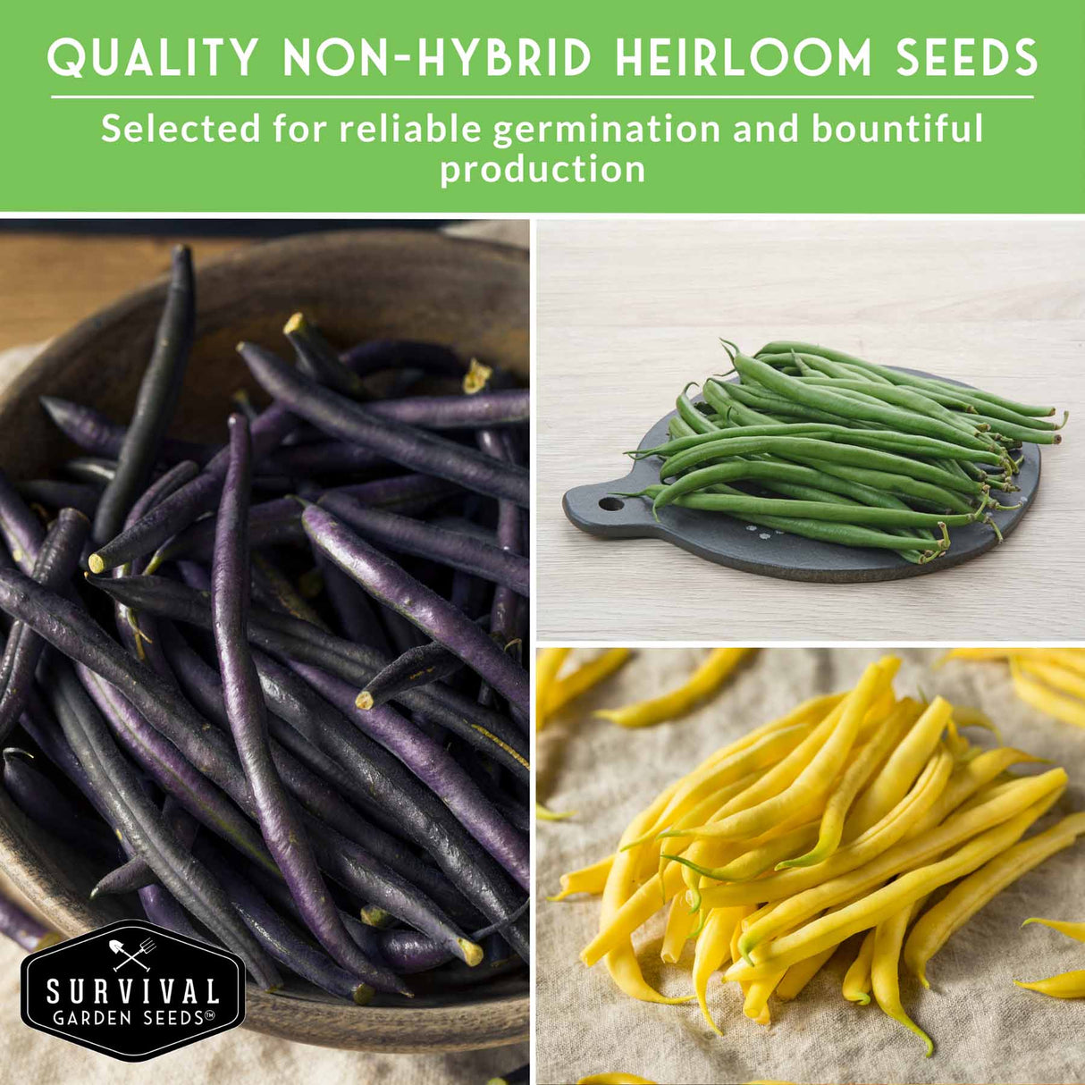 Three types of beans (purple, green, yellow) with a text overlay about non-hybrid heirloom seeds and Survival Garden Seeds logo.