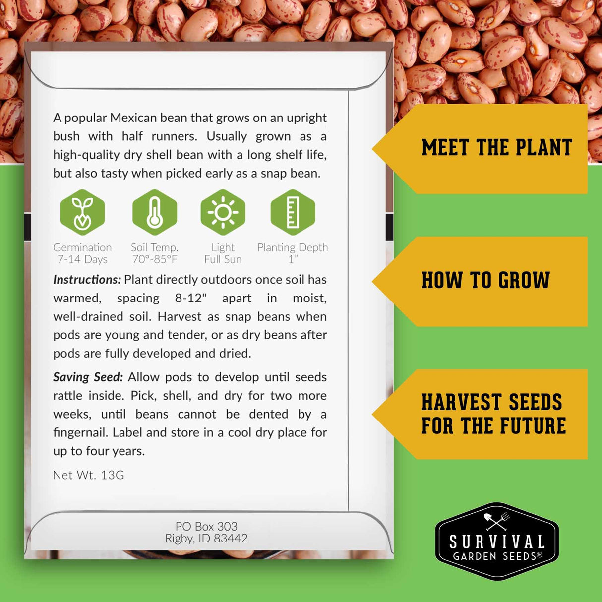 Seed packet for a popular Mexican bean with growing instructions and branding details.