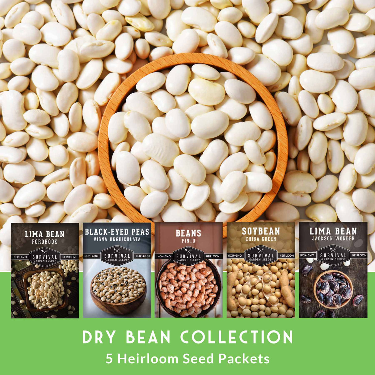 Dry bean collection with seed packets displayed below on a green background