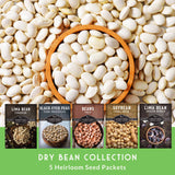 Dry bean collection with seed packets displayed below on a green background