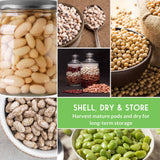 Collage of various beans in jars and bowls with a green text box.